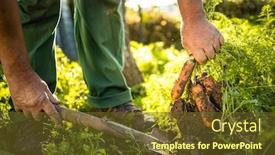  Presentation with gardening - Presentation with senior-gardener-gardening background and a tawny brown colored foreground