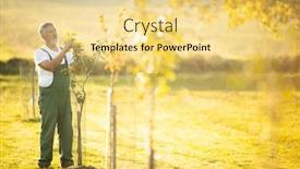  Presentation with fruit trees - Colorful presentation theme enhanced with senior-gardener-gardening backdrop and a blonde colored foreground