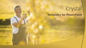  Presentation with fruit trees - Slide set having senior-gardener-gardening background and a yellow colored foreground