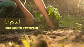  Presentation with gardening - PPT theme having senior-gardener-gardening background and a tawny brown colored foreground