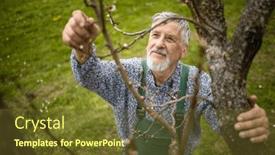  Presentation with springtime - PPT theme consisting of senior-gardener-gardening background and a tawny brown colored foreground