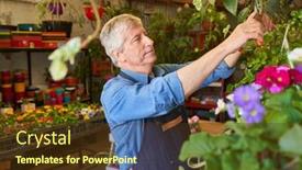  Presentation with caring - Theme enhanced with senior-gardener-or-florist background and a tawny brown colored foreground