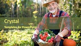  Presentation with vegetable garden - Amazing slides having senior gardener with a basket backdrop and a tawny brown colored foreground