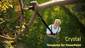  Presentation with orchard - Presentation design consisting of senior-gardener-working background and a tawny brown colored foreground