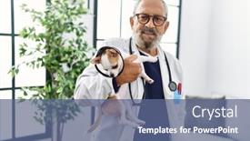  Presentation with grey - Slide set featuring senior-grey-haired-man-wearing background and a ocean colored foreground