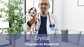  Presentation with grey - Presentation design with senior-grey-haired-man-wearing background and a ocean colored foreground