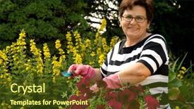  Presentation with lady - Audience pleasing presentation theme consisting of senior lady in the garden backdrop and a tawny brown colored foreground