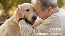  Presentation with old dog - PPT layouts featuring senior man and big dog background and a coral colored foreground