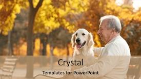  Presentation with man sitting bench - Cool new PPT theme with senior man and big dog backdrop and a coral colored foreground