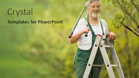  Presentation with fruit trees - Beautiful slides featuring senior-man-gardening backdrop and a yellow colored foreground