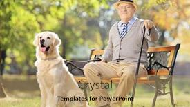  Presentation with dog park - Beautiful presentation theme featuring senior man seated on a wooden bench with his labrador retriever dog relaxing in a park backdrop and a coral colored foreground