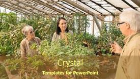  Presentation with plants - Audience pleasing PPT layouts consisting of senior-man-standing-at-potted backdrop and a tawny brown colored foreground