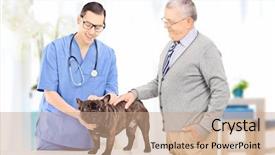  Presentation with veterinary - Amazing presentation theme having senior man taking his pet dog to a veterinary practice backdrop and a coral colored foreground