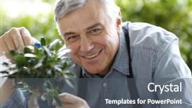  Presentation with bonsai - Theme consisting of senior man watering bonsai leaves background and a dark gray colored foreground