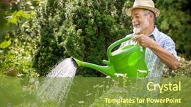  Presentation with fertilizer flowers - Cool new PPT theme with senior man watering the flowers backdrop and a tawny brown colored foreground