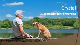  Presentation with old dog - PPT theme featuring senior-man-with-old-brown background and a teal colored foreground