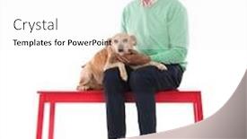  Presentation with man sitting bench - Theme having senior-man-with-old-dog background and a white colored foreground