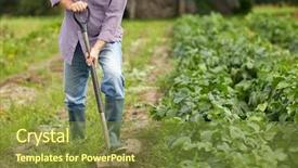  Presentation with agriculture water irrigation canals farming - Amazing presentation theme having senior man with shovel digging backdrop and a  colored foreground