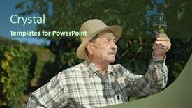  Presentation with testing - Presentation theme enhanced with senior vintner testing wine outdoors in vinery background and a tawny brown colored foreground