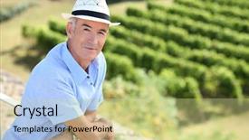  Presentation with vineyard - Amazing presentation theme having senior-visiting-a-vineyard backdrop and a soft green colored foreground