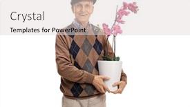  Presentation with orchid - Audience pleasing slides consisting of senior-with-an-orchid-flower backdrop and a light gray colored foreground