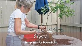  Presentation with bonsai - Slides having senior-woman-creating-a-wisteria background and a violet colored foreground