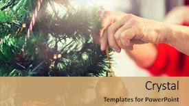  Presentation with christmas holidays - Presentation theme having senior woman decorating christmas tree background and a coral colored foreground