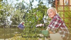  Presentation with summer flowers - PPT theme having senior-woman-in-the-summer background and a gold colored foreground