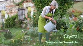  Presentation with vegetable garden - Colorful slide set enhanced with senior woman watering vegetable garden backdrop and a tawny brown colored foreground