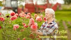  Presentation with flower woman - Cool new slide set with senior woman with dahlia flower backdrop and a tawny brown colored foreground