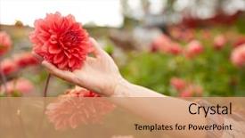  Presentation with dahlia - PPT layouts featuring senior woman with dahlia background and a coral colored foreground
