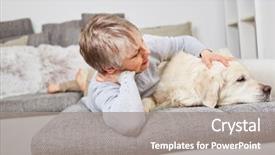  Presentation with therapy dog - Colorful presentation theme enhanced with pet therapy - senior woman with dog retriever backdrop and a gray colored foreground