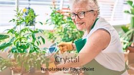  Presentation with apron gardening - PPT layouts consisting of senior-woman-with-grey-hair background and a coral colored foreground