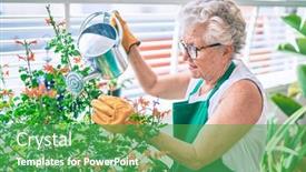  Presentation with apron gardening - Slide deck enhanced with senior-woman-with-grey-hair background and a shamrock green colored foreground