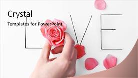  Presentation with pink rose - Beautiful presentation theme featuring sensation - inscription love with pink rose backdrop and a white colored foreground