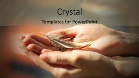  Presentation with couples holding hands - PPT theme with sensitivity - hands holding a feather background and a coral colored foreground