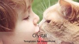  Presentation with cat - Slide deck featuring sentiment - young boy kissing his cat background and a  colored foreground