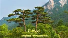  Presentation with pair - Presentation having seoraksan national park south korea background and a tawny brown colored foreground