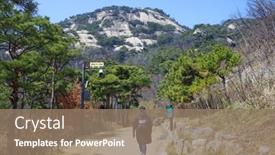  Presentation with pine trees - 