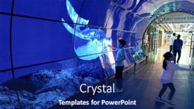  Presentation with oled - Audience pleasing PPT layouts consisting of seoul-south-korea-circa-june backdrop and a navy blue colored foreground