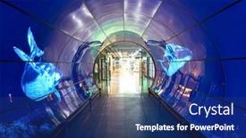  Presentation with oled - Audience pleasing slide deck consisting of seoul-south-korea-circa-june backdrop and a navy blue colored foreground