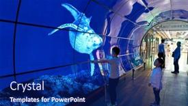  Presentation with oled - Slide deck having seoul-south-korea-circa-june background and a navy blue colored foreground