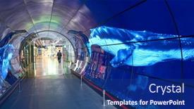  Presentation with oled - 