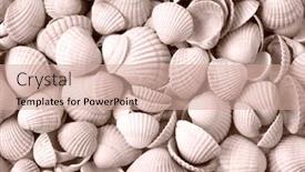 Presentation with sea shells - Presentation theme consisting of sepia toned scattering sea shells as a background background and a coral colored foreground