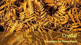  Presentation with floral abstract - PPT layouts enhanced with september emplates - abstract autumn design orange floral background and a tawny brown colored foreground