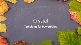  Presentation with multicolored autumn leaves orange yellow red - Amazing PPT layouts having september emplates - autumn background leaves on dark backdrop and a  colored foreground