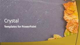  Presentation with multicolored autumn leaves orange yellow red - Audience pleasing slides consisting of september emplates - autumn background leaves on dark backdrop and a  colored foreground