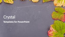  Presentation with autumn leaves - Beautiful slides featuring september emplates - autumn background leaves on dark backdrop and a  colored foreground