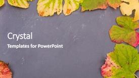  Presentation with fall leaves border autumn - Theme having september emplates - autumn background leaves on dark background and a  colored foreground