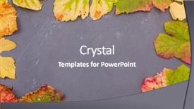  Presentation with autumn leaves - Cool new presentation theme with september emplates - autumn background leaves on dark backdrop and a  colored foreground